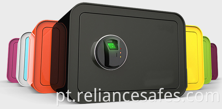 Mini Biometric safe